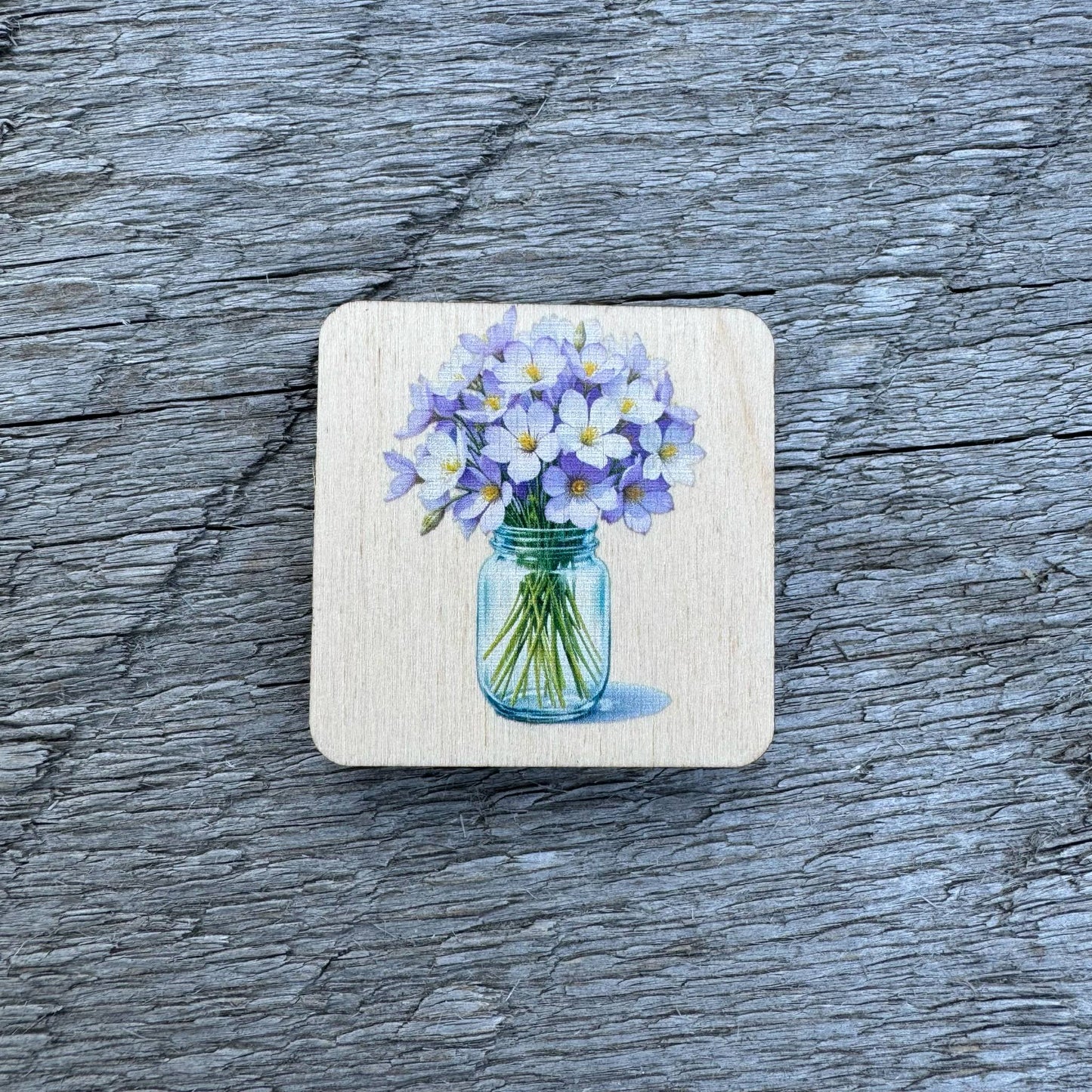 Crocus Flowers In Jar | Magnet