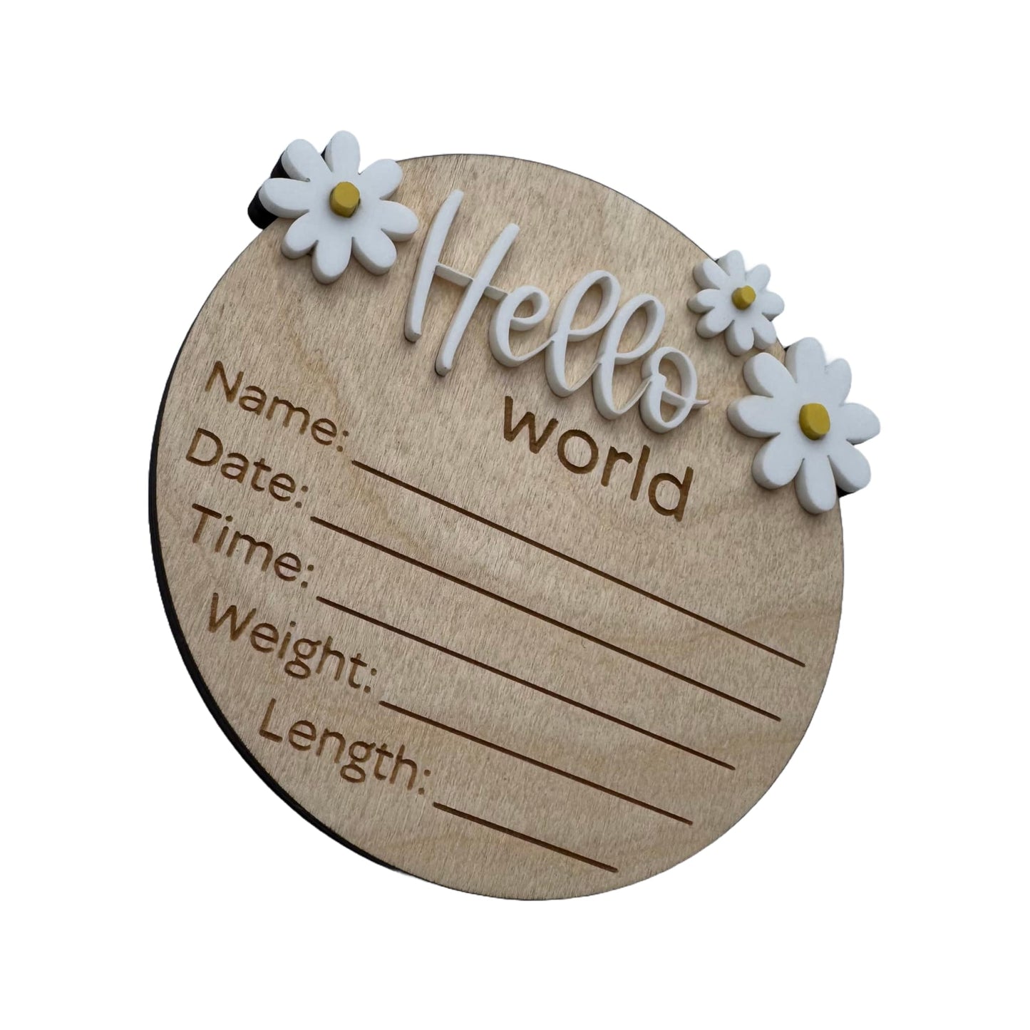 Hello World Daisies | Birth Announcement Sign 3D