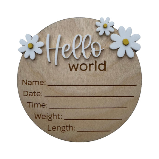 Hello World Daisies | Birth Announcement Sign 3D