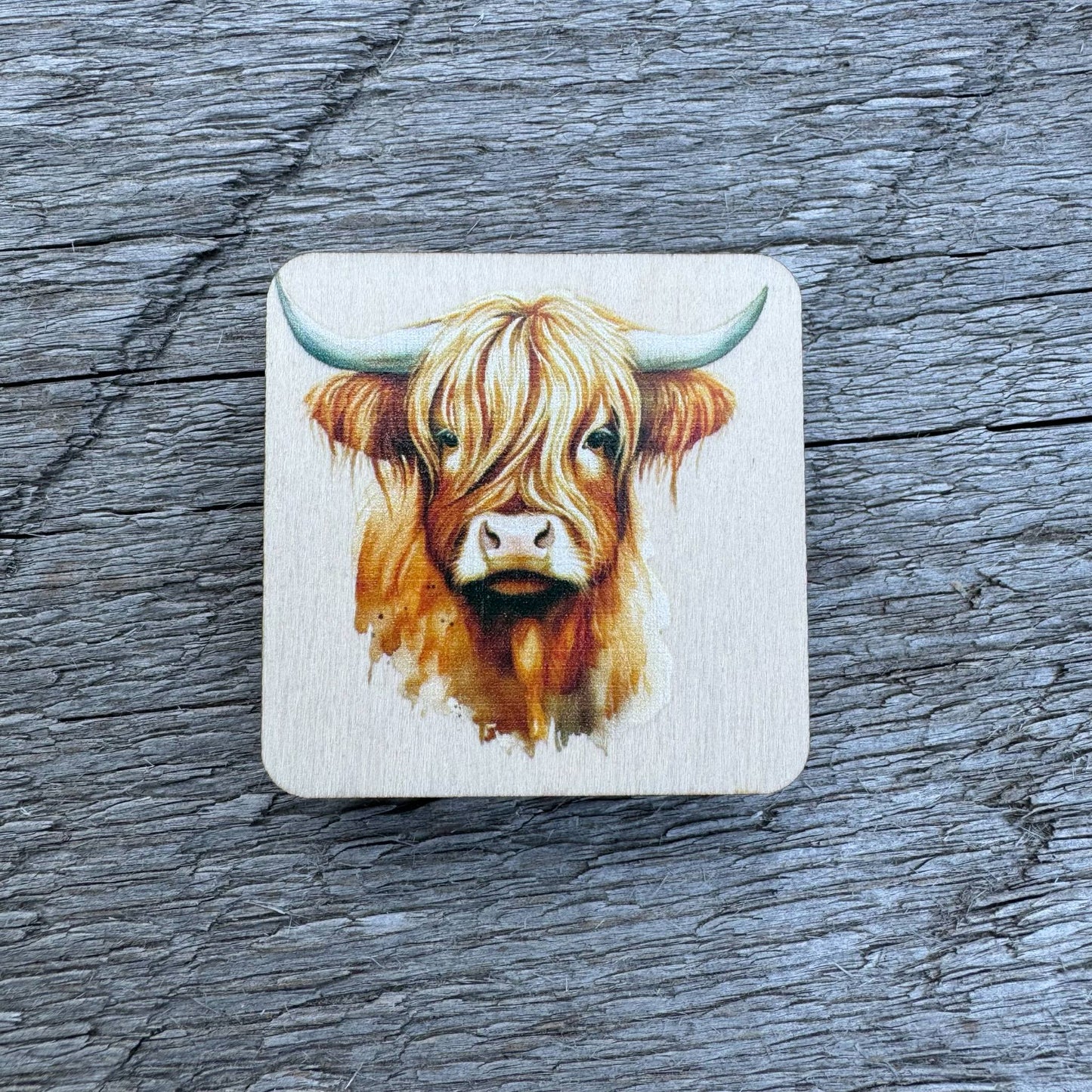 Highland Cow | Magnet