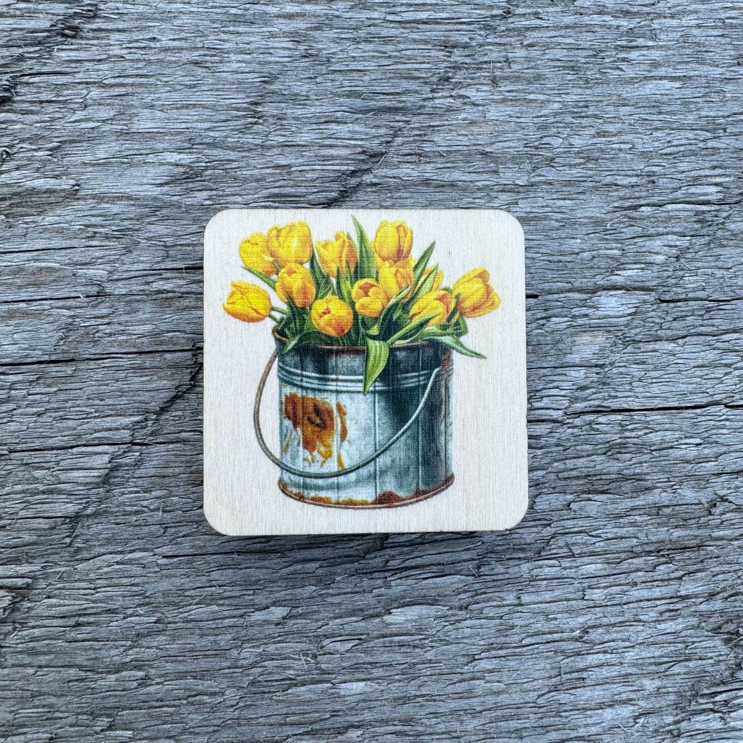 Tulips In Bucket | Magnet