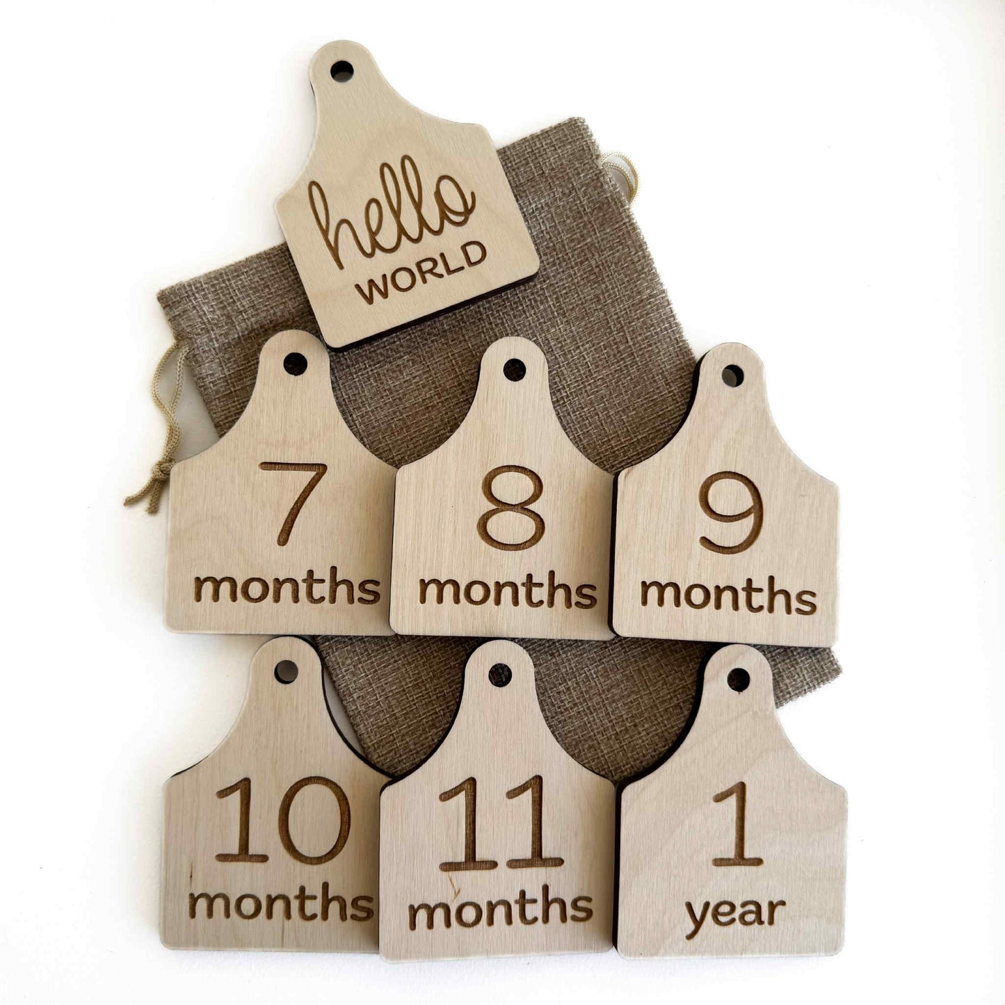 Cow Ear Tag | Monthly Milestone Set