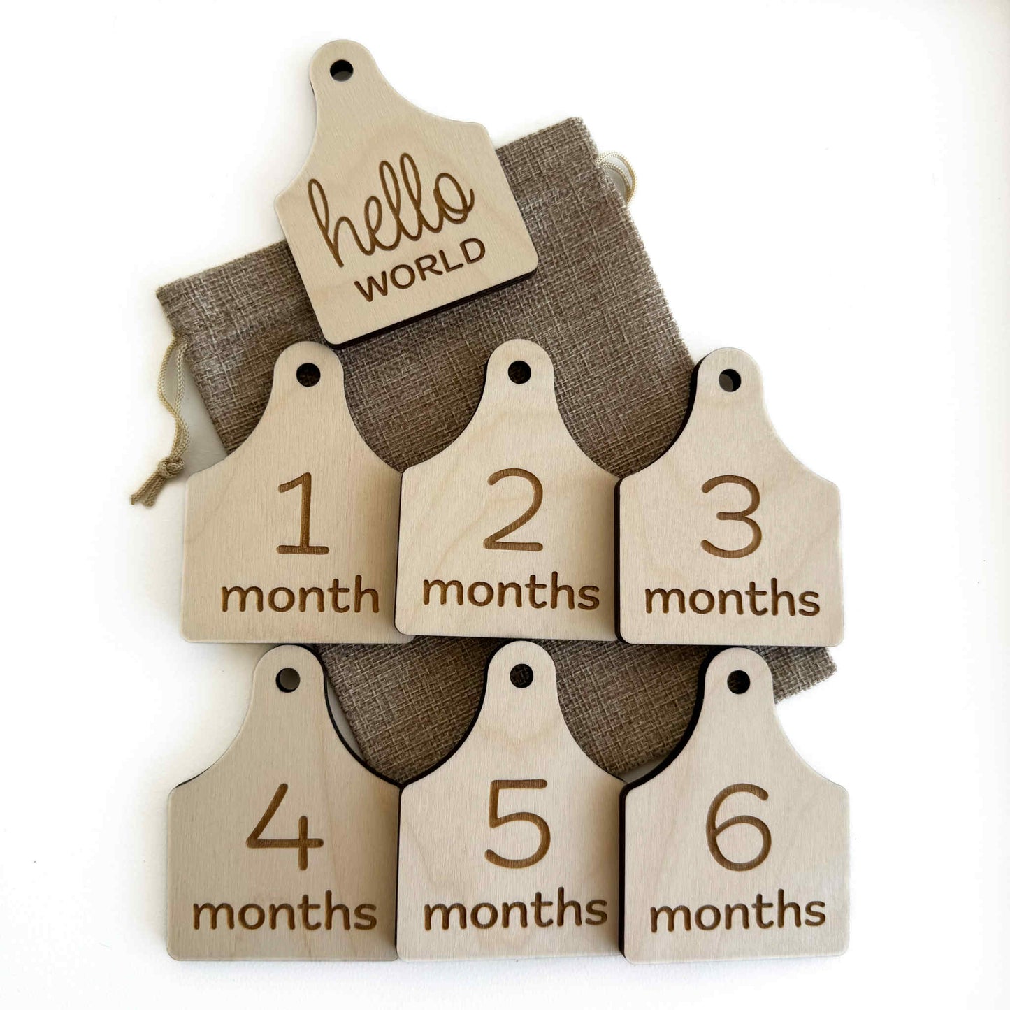 Cow Ear Tag | Monthly Milestone Set