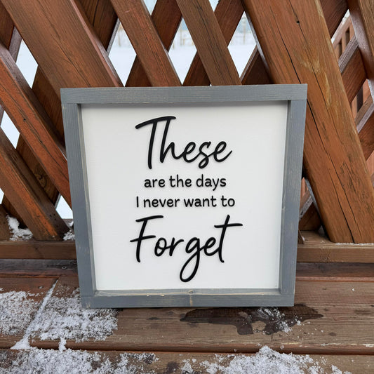 These Are The Days I Never Want To Forget | Wood Sign